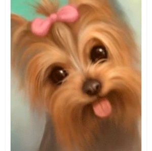 Meet your Posher, Bouscha56